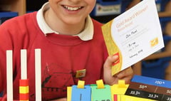 Lydford Primary's Otis top the class after receiving gold national award