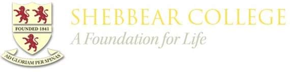 Shebbear success in GCSE results