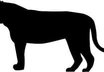'Big black cat' sighting reported just outside Okehampton