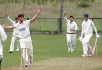 Wayfarers put up fight but Gabriel prevail