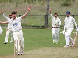 Wayfarers put up fight but Gabriel prevail