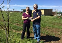 Okehampton Community Garden connecting water supply for growing season ahead