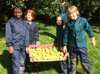 Call for apples for pressing at Iddesleigh's Nethercott House