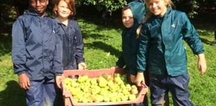 Call for apples for pressing at Iddesleigh's Nethercott House