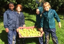 Call for apples for pressing at Iddesleigh's Nethercott House
