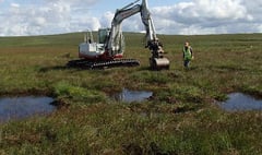 Dartmoor peatland initiative a ‘necessity’