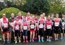 BATs take part on Night Run, Cornish Marathon and Flying Fox