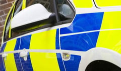 Vehicles damaged across West Devon