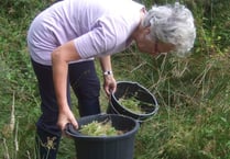 The new exhibition at Okehampton's museum will really grow on you...