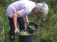 The new exhibition at Okehampton's museum will really grow on you...