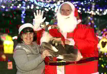 Bere Alston man installs 13,000 lights for Christmas — and charity