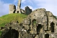 Enjoy Bluebell Sunday at Okehampton Castle this weekend