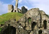 Enjoy Bluebell Sunday at Okehampton Castle this weekend