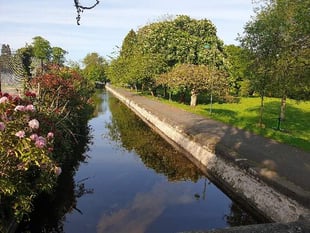 Joint plan to stamp out park vandalism in Tavistock