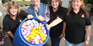 Carnival Queen's fundraising duck race this Sunday