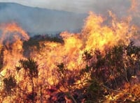 Dartmoor visitors urged to prevent wildfires this summer