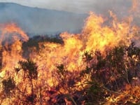 Dartmoor visitors urged to prevent wildfires this summer