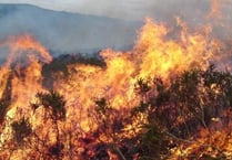 Dartmoor visitors urged to prevent wildfires this summer