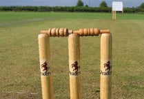 Barriball and Auchamp roll up the Plympton firsts’ innings
