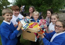 Bere Alston Primary School does its bit for the environment