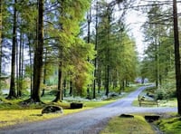 Pay and display machine approved at forest site