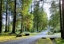 Pay and display machine approved at forest site