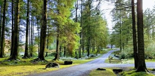 Pay and display machine approved at forest site