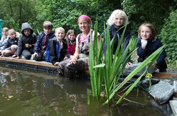 Whitchurch school cultivates new species around its pond