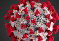 Devon has lowest Covid-19 infection rates in whole of England