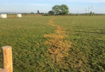 Club raises target in two days to repair damage by vandals