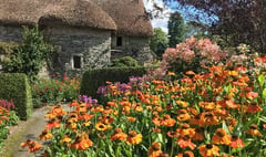 Appeal launched to save one of country’s finest gardens