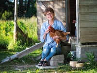 Adopt some hens and save them from slaughter