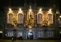 Tavistock Lions' Trees of Light will go ahead this year
