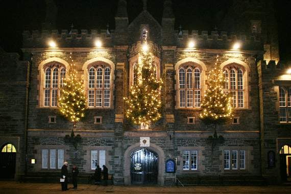 Tavistock Lions' Trees of Light will go ahead this year