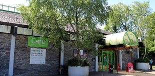 Tavistock pool remains closed due to roof defect