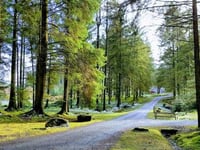 Beauty spot recovering after camping ban