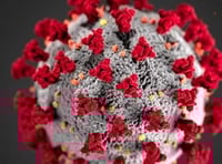 Devon hospitals report fall in Covid-19 among patients