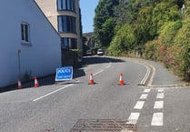 Drake Road in Tavistock closed after car hits electricity pole