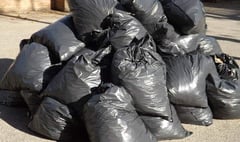 Rubbish collection plan was 'discriminatory' says councillor