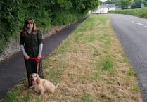 On the verge of saving local wildlife havens in West Devon