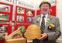 All the buzzing fun of the Callington Honey Fair