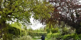'Green route' held up by feasibility study