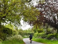 'Green route' held up by feasibility study