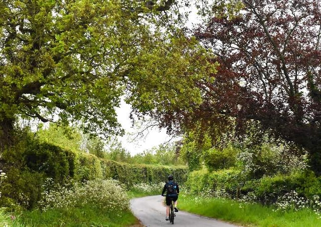 'Green route' held up by feasibility study