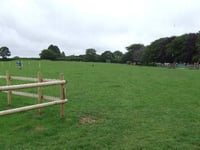 Dog fouling could lead to ban in popular spots