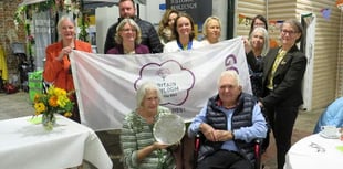 Tavistock celebrates its best ever Britain in Bloom result