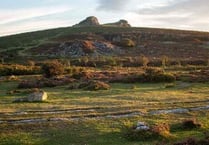 Emergency powers have been issued by Dartmoor National Park to stop wild camping at Bellever