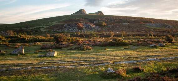 Emergency powers have been issued by Dartmoor National Park to stop wild camping at Bellever