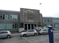Tavistock man is remanded in custody over importing prohibited weapon charge