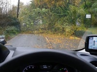 Old A30 closed both ways due to fallen tree